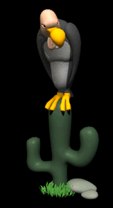 Gif animé vautour cactus